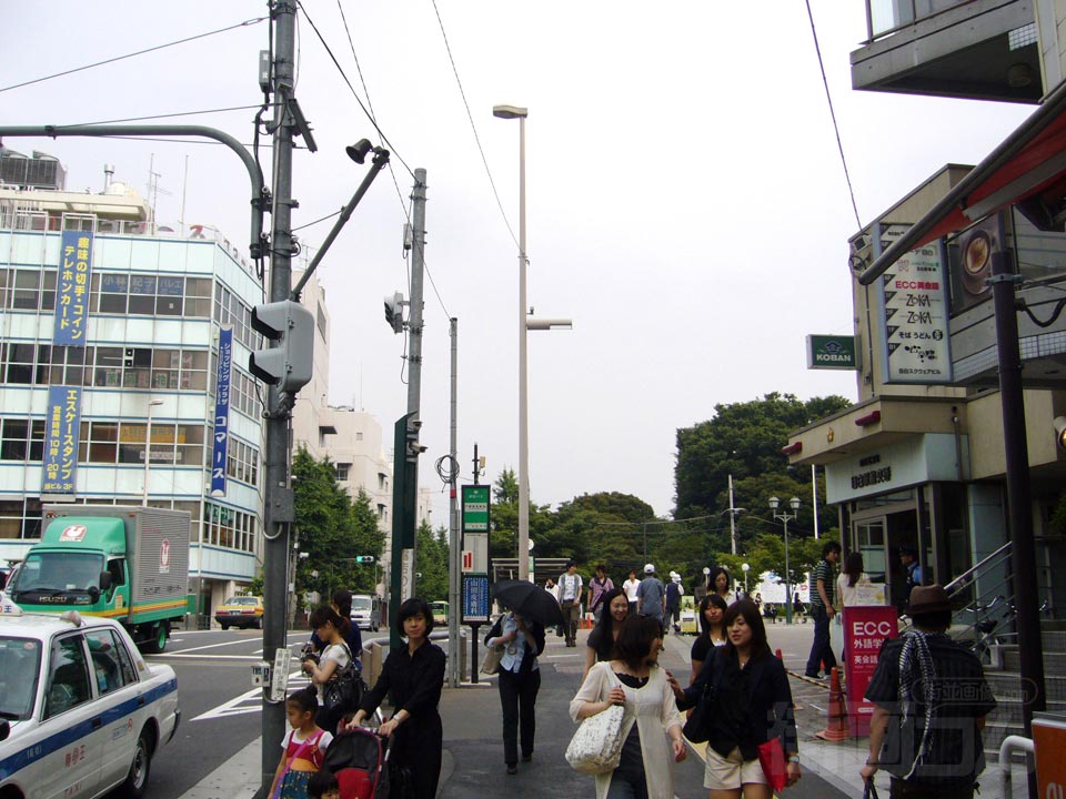 目白通り写真画像