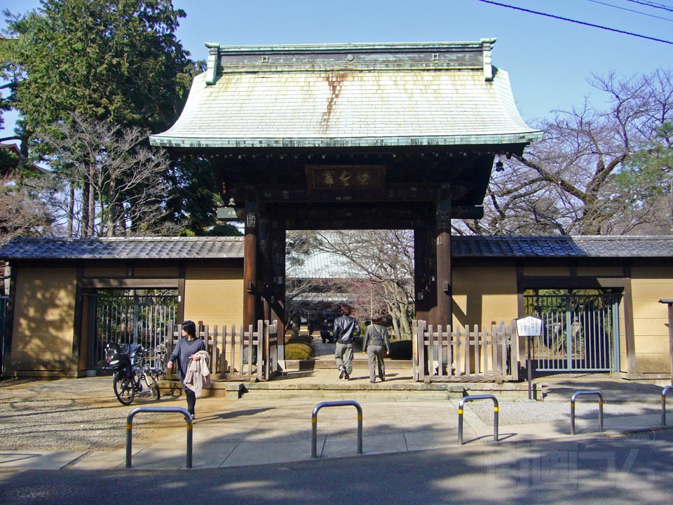 豪徳寺総門写真画像