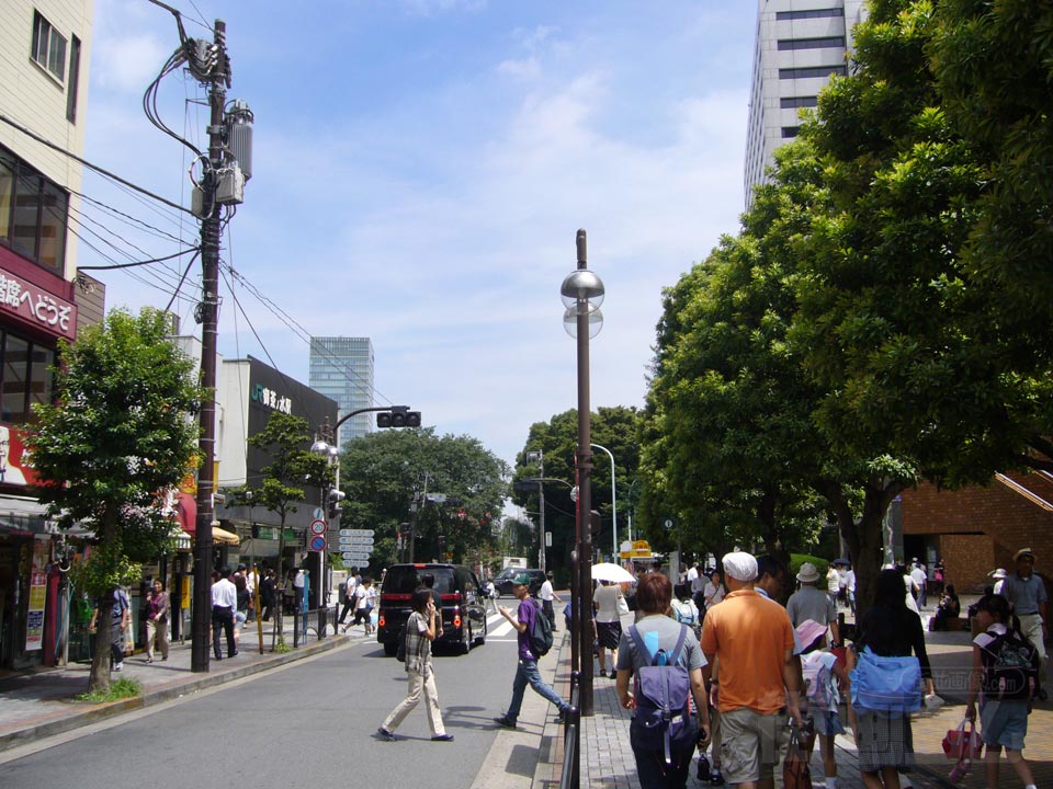 茗渓通り写真画像