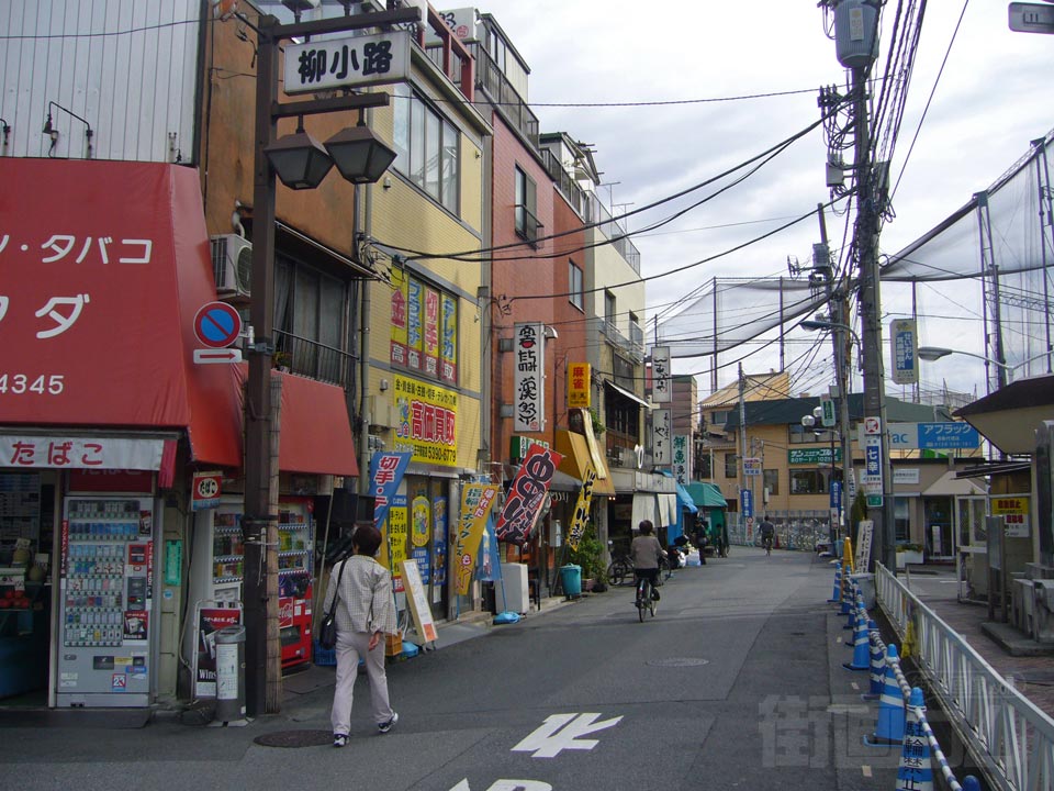 柳小路写真画像
