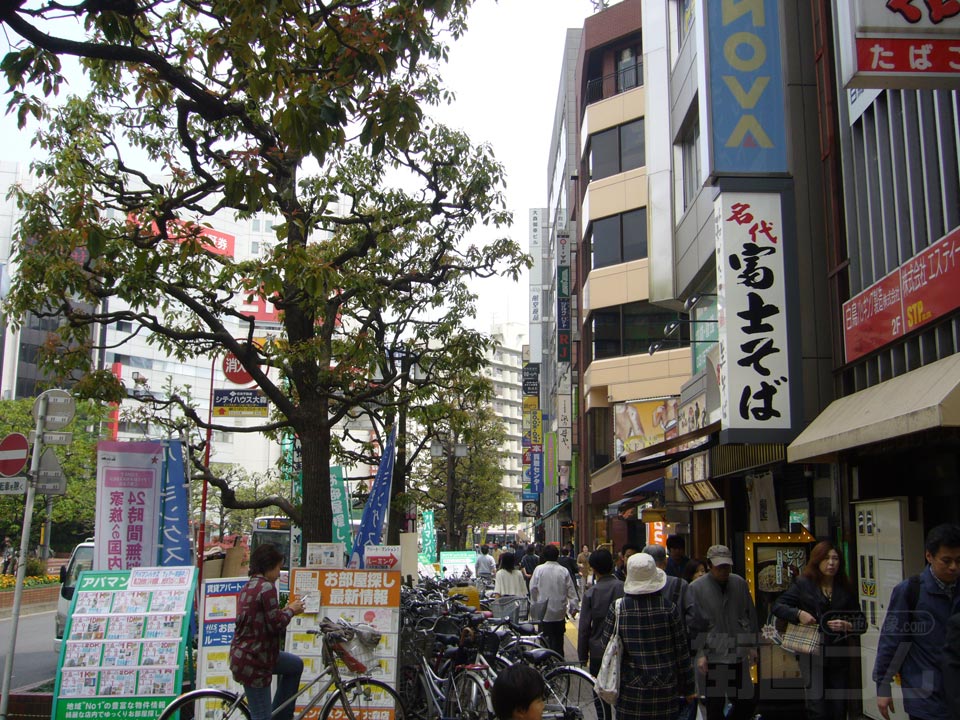 大森