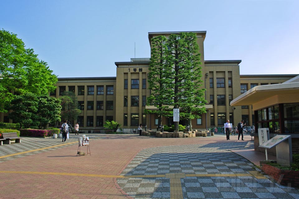 下高井戸駅前市場写真画像