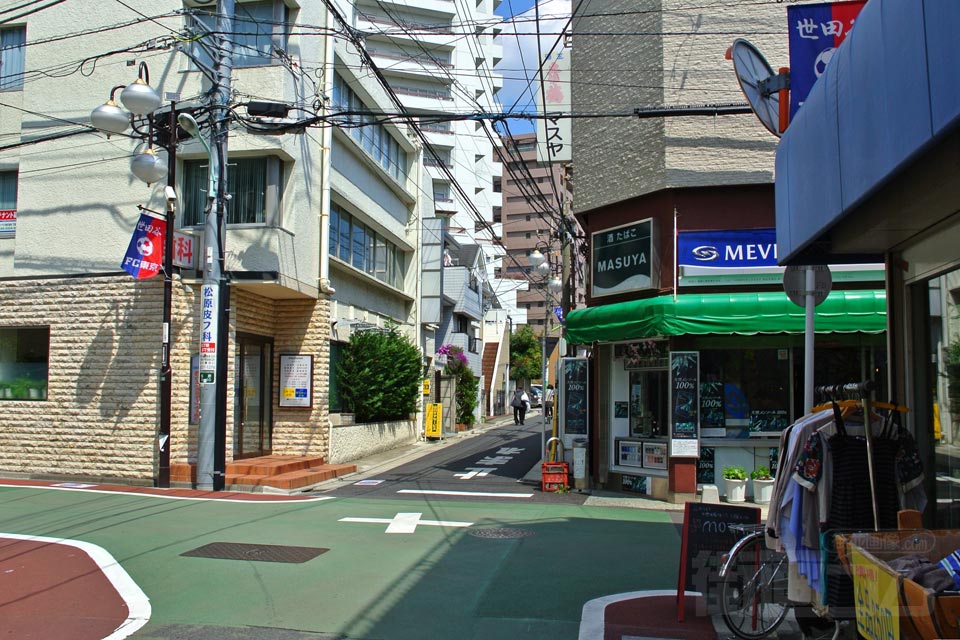 下高井戸駅前通り