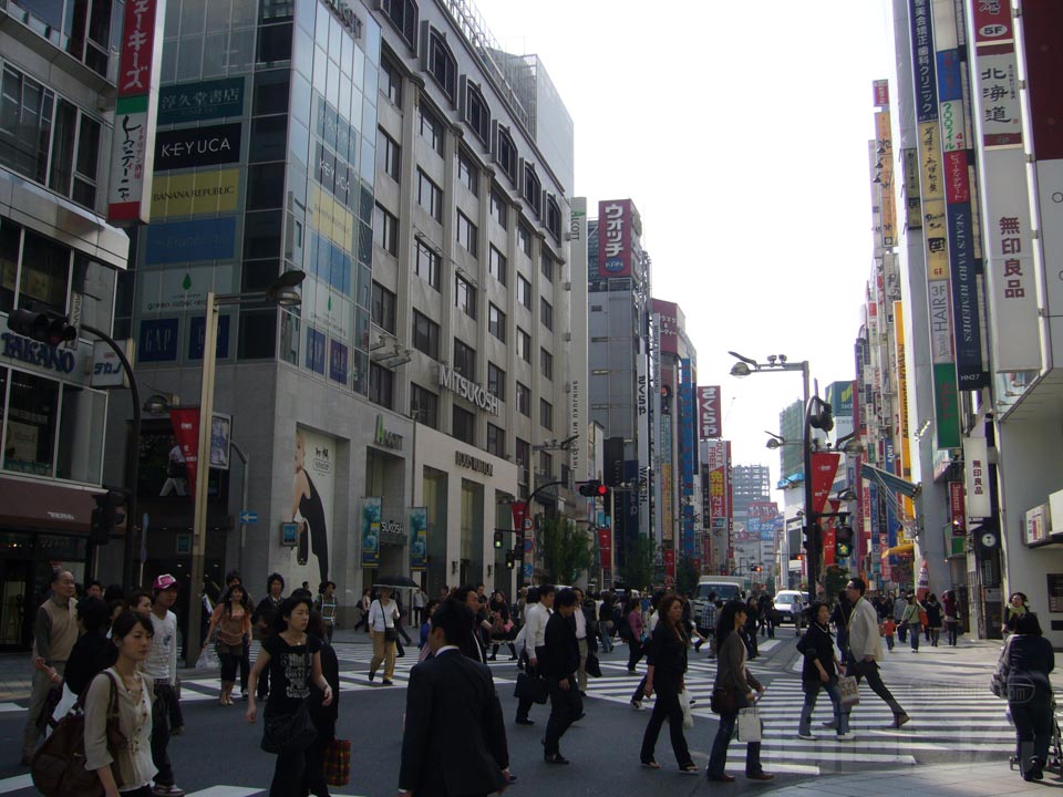 新宿通り
