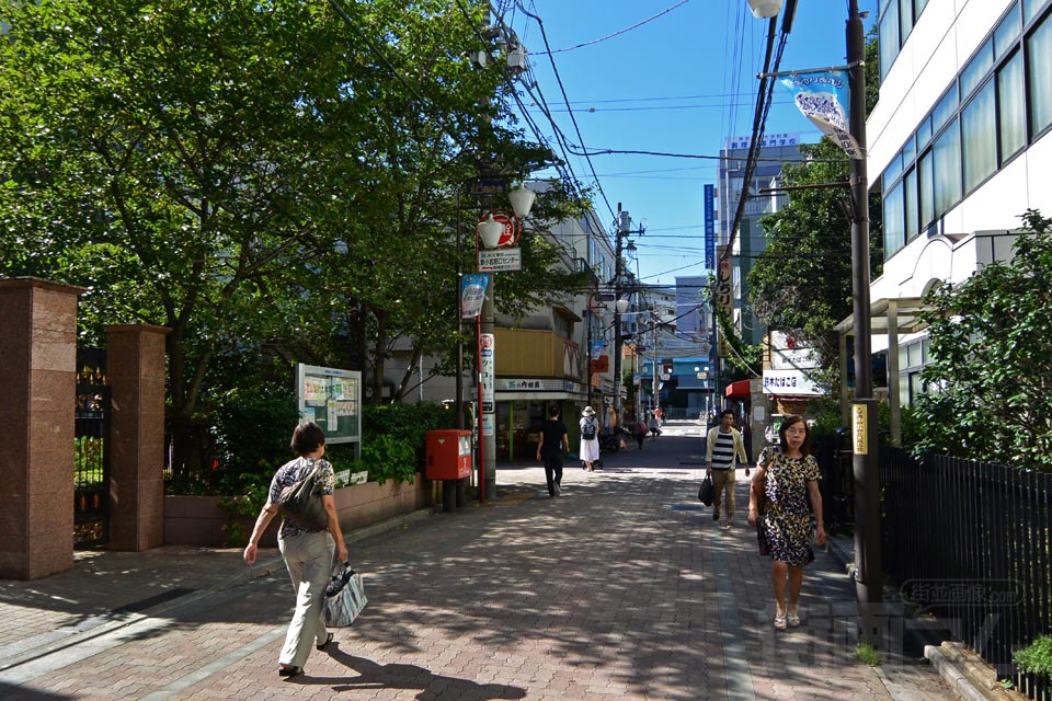 大学通り(新小岩北口商店街)