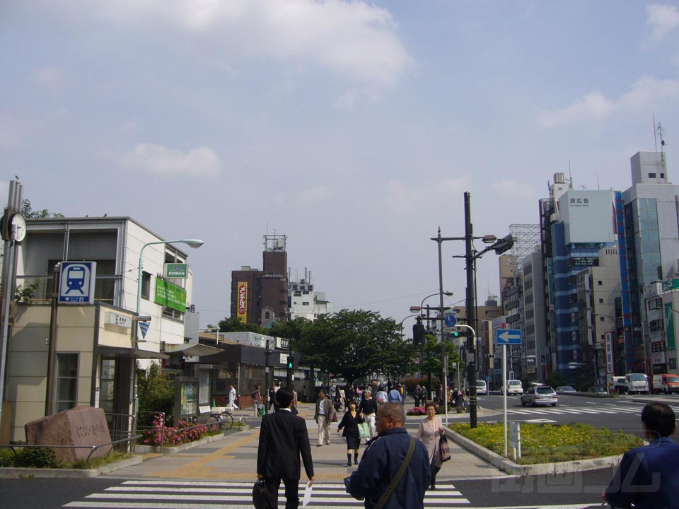 白山通り(国道17号線)