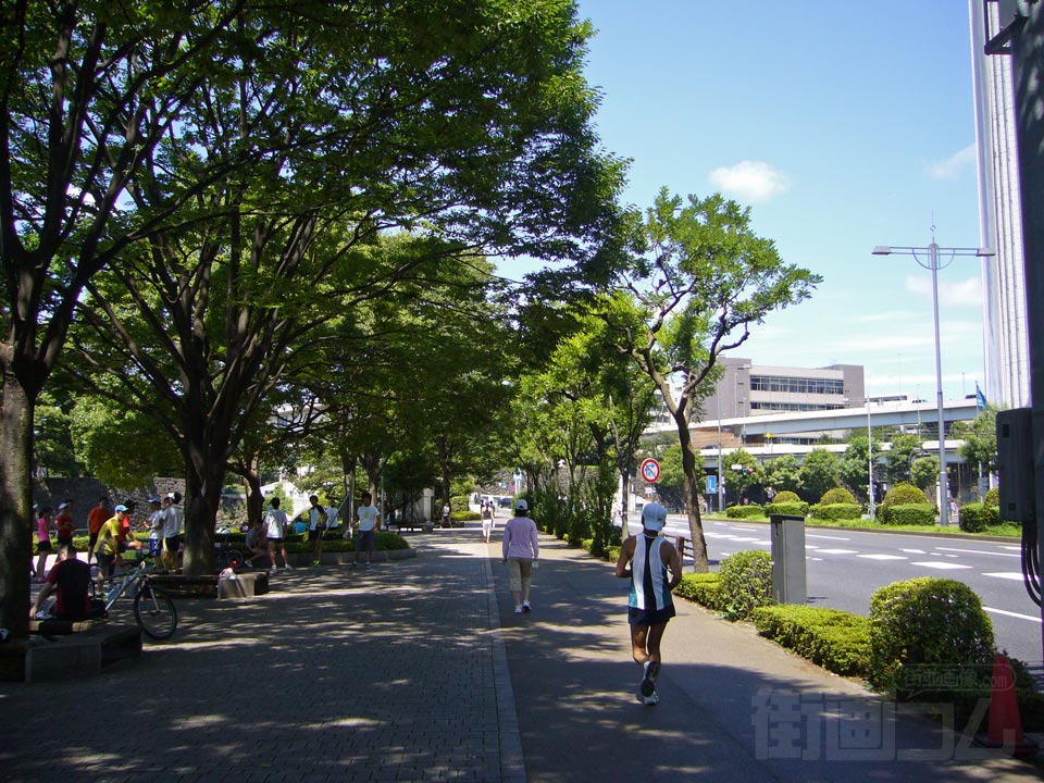 内堀通り写真画像