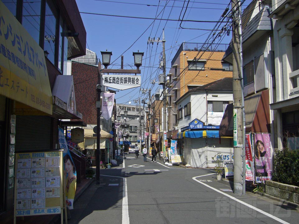 梅丘本通り商店街写真画像