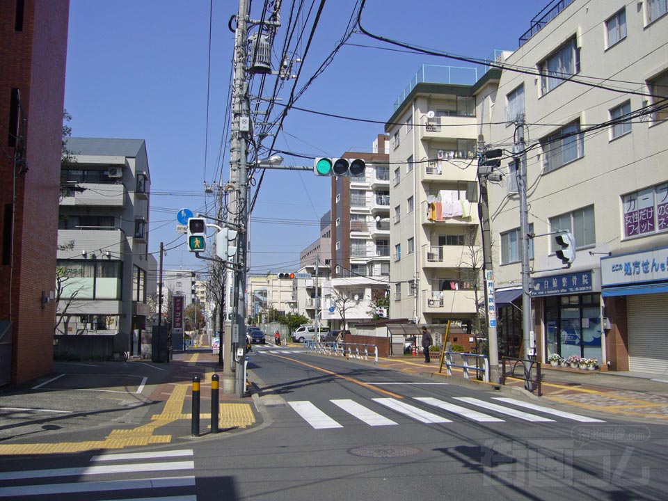 馬事公苑通り写真画像