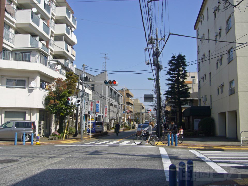 赤堤通り写真画像