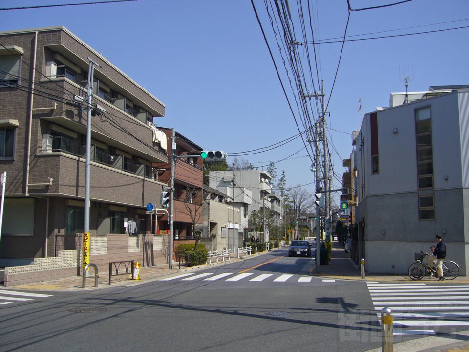 赤堤通り写真画像