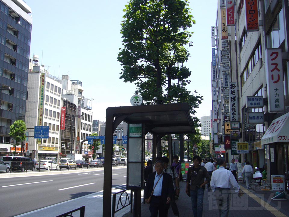 甲州街道(国道20号線)
