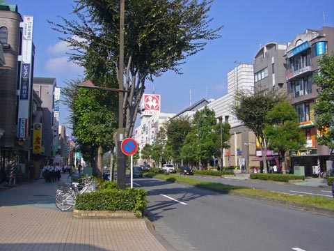 駅前大通り写真画像