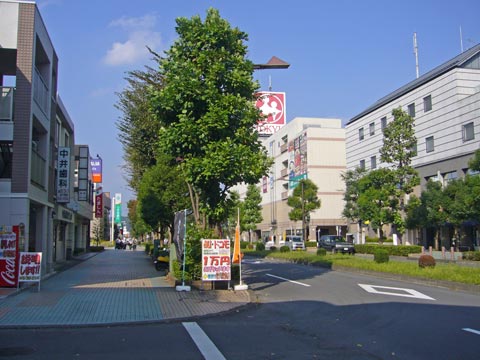 駅前大通り写真画像