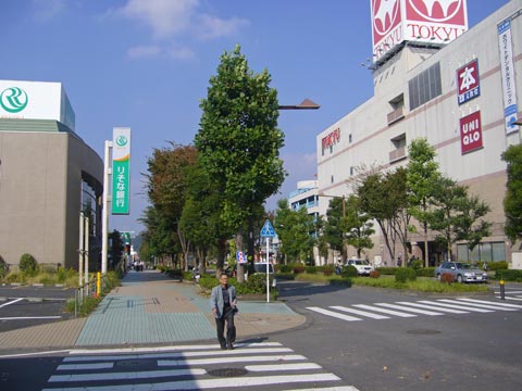 駅前大通り写真画像