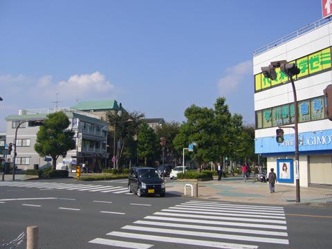駅前大通り写真画像