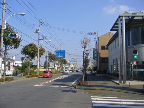 五日市街道(都道7号線)写真画像
