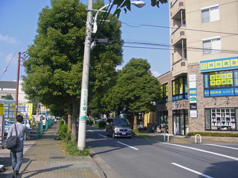 キララ通り写真画像