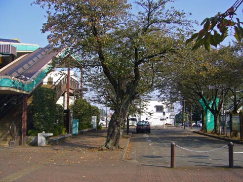 JR秋川駅南口前写真画像