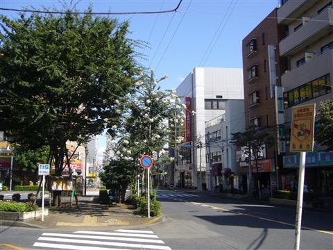 江戸街道写真画像