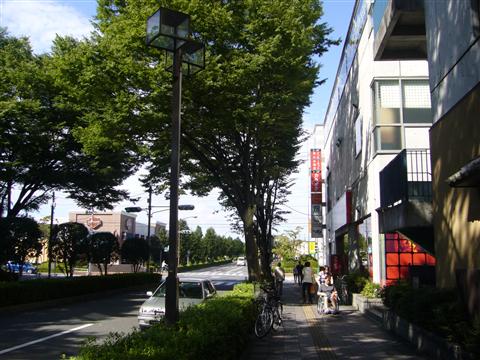 昭島写真画像