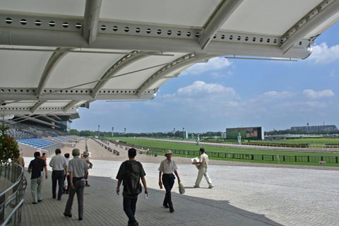 東京競馬場写真画像