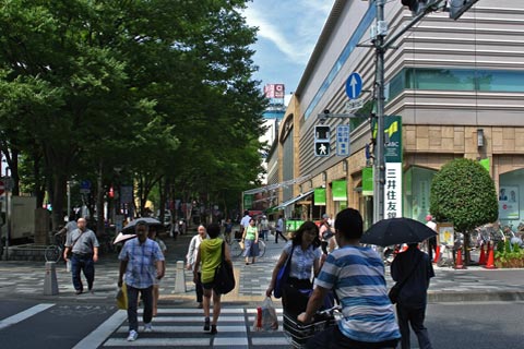 けやき並木通り写真画像