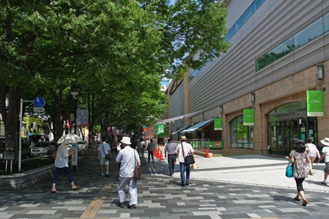 けやき並木通り前写真画像