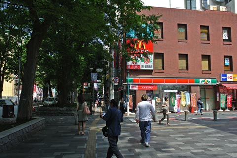 けやき並木通り写真画像