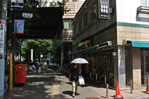 けやき並木通り写真画像