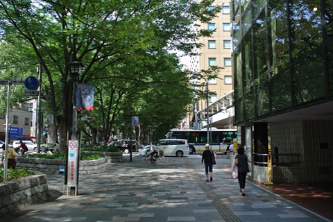 けやき並木通り写真画像