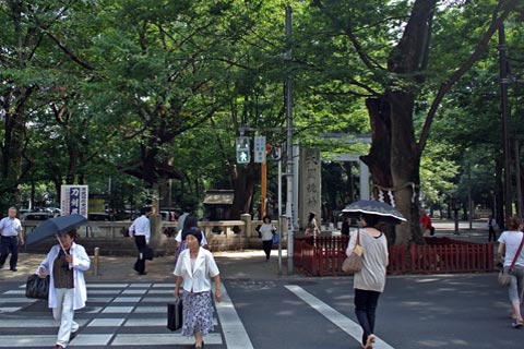 大国魂神社前交差点写真画像