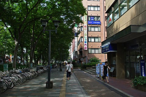 けやき並木通り写真画像