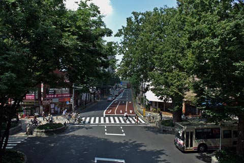 甲州街道(国道20号線)写真画像