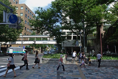 甲州街道(国道20号線)写真画像