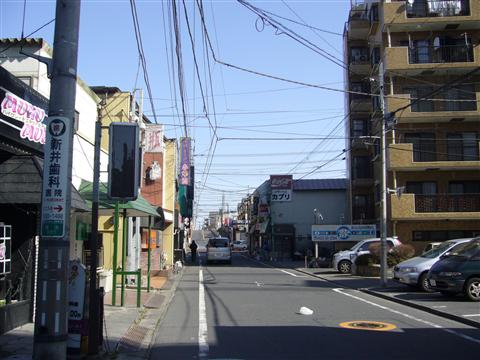 富士見通り写真画像