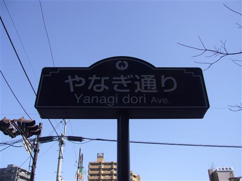 やなぎ通り写真画像