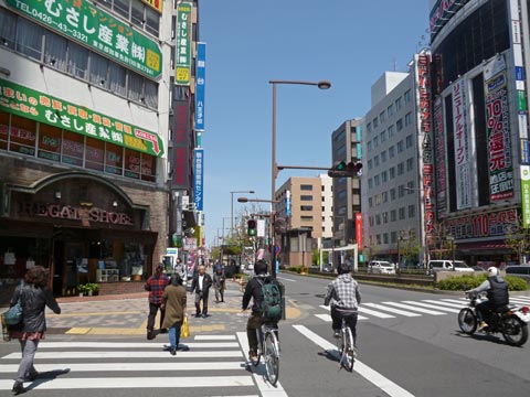 桑並木通り写真画像