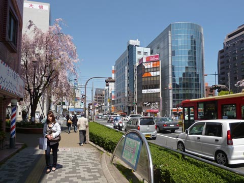 桑並木通り写真画像