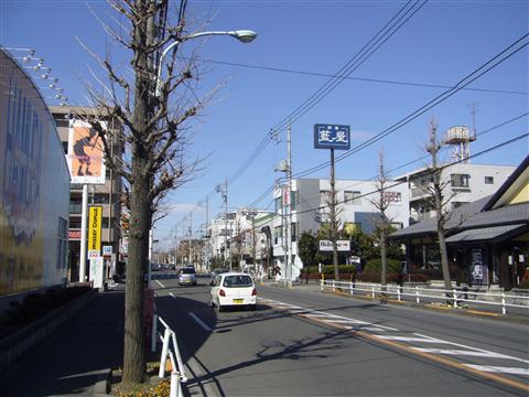 市役所通り写真画像