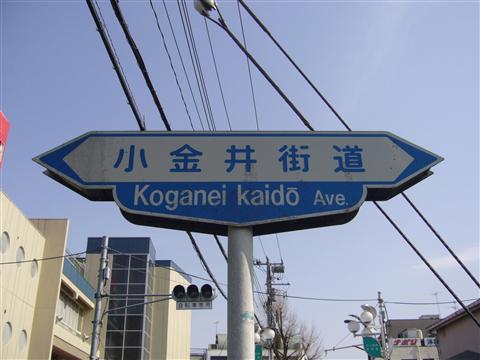 小金井街道写真画像