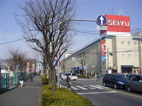 小金井街道写真画像