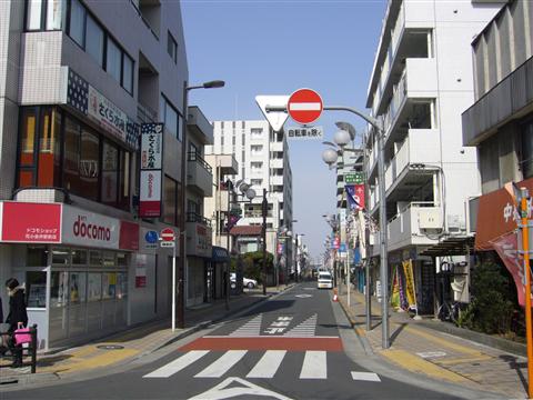 さくら通り写真画像