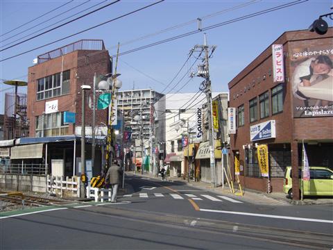 さくら通り写真画像