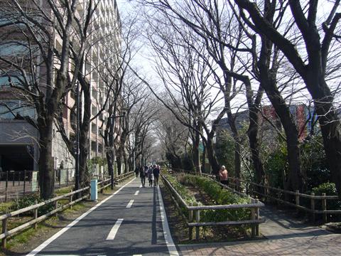 多摩湖自転車道写真画像