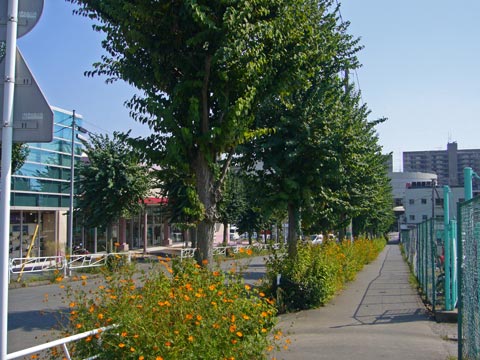 京王狭間駅前写真画像