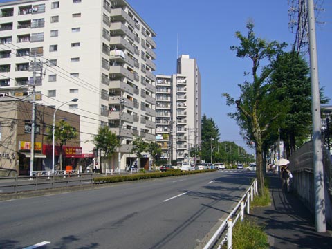 椚田遺跡公園通り写真画像