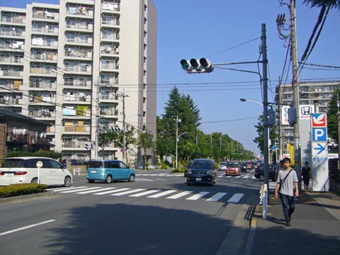 椚田遺跡公園通り写真画像