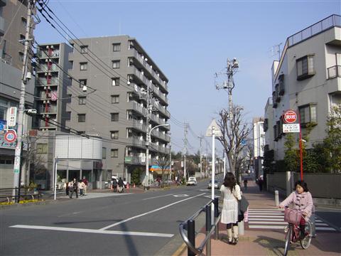 浄牧院通り写真画像