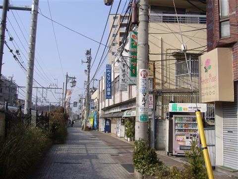 氷川台通り写真画像